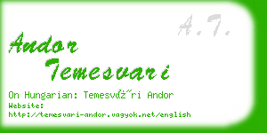 andor temesvari business card